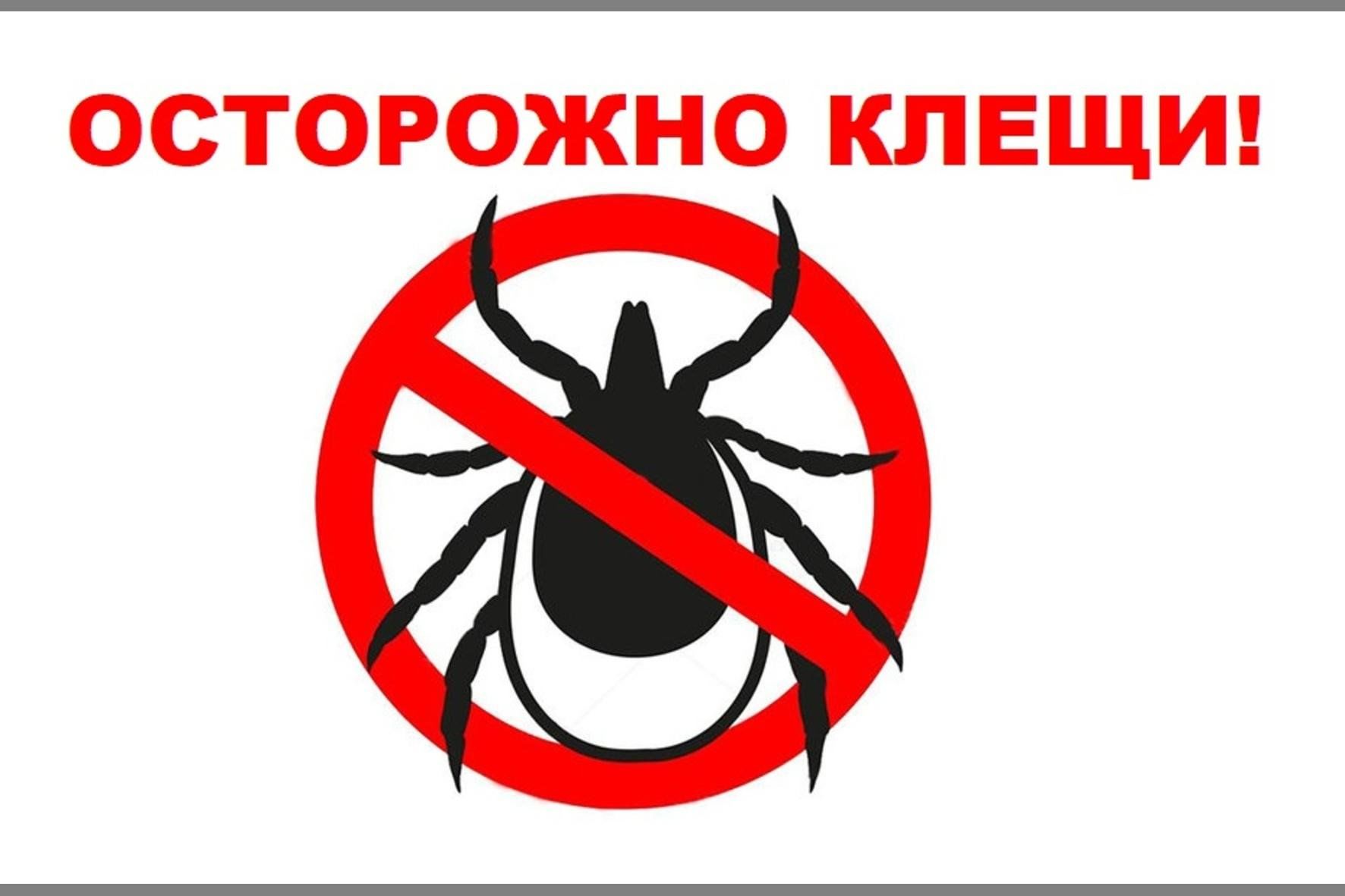 Профилактика клещевого энцефалита.